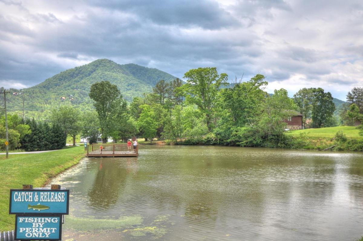 Bears Valley Inn - Great Location! - Peaceful, Children And Dog Friendly Retreat - Less Than 15 Min To All Attractions - Private Pool Club & Fishing Hole - Game Room With Tv 塞维尔维尔 外观 照片